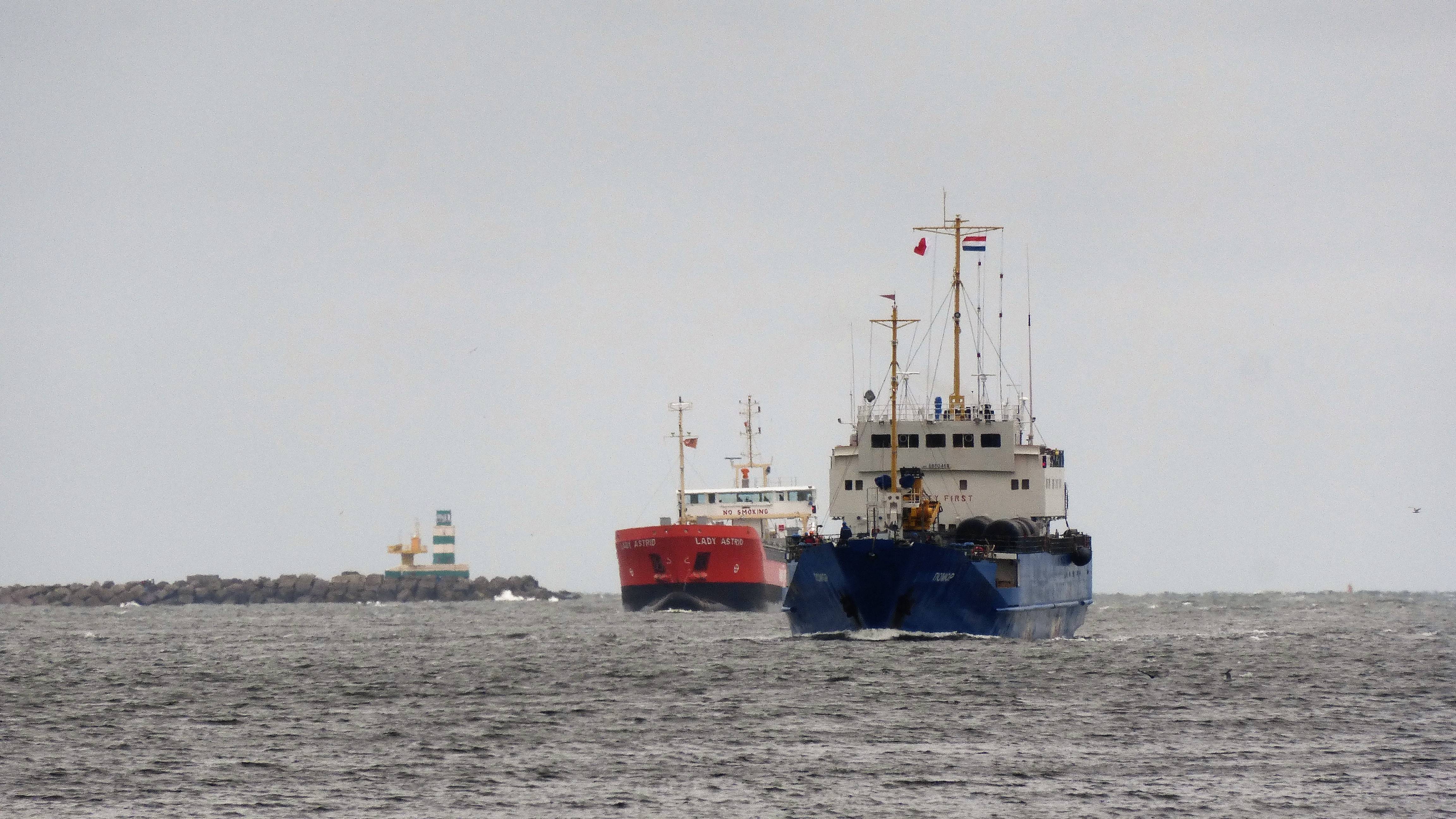 Pieren IJmuiden 02-07-17 